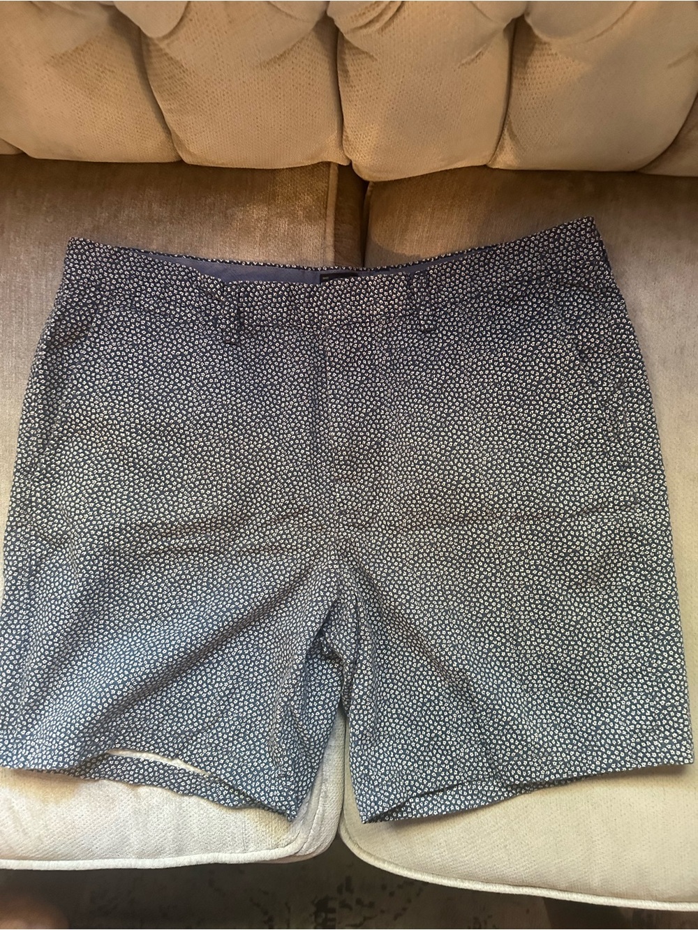 Express Men’s Navy Blue Patterned Flat Front Shorts